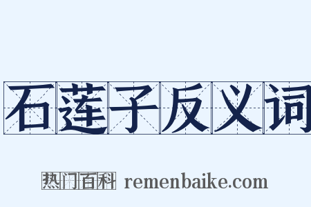 石莲子反义词是什么意思的图片